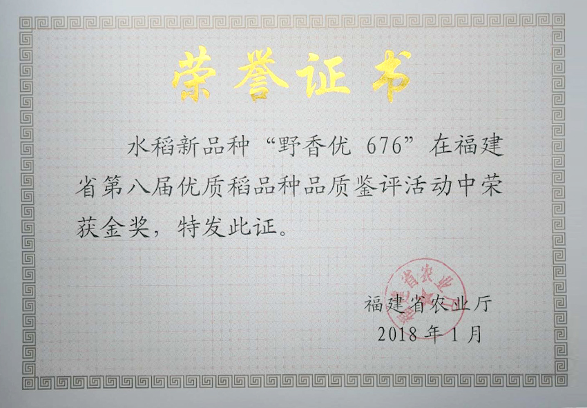 野香优676在福建省第八届优质稻品种品鉴评活动中评为金奖